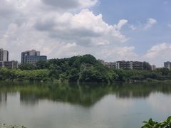 -广东花都湖国家湿地公园