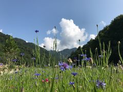 -朝阳沟