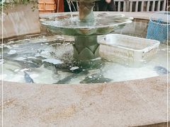 -万里闯关东铁锅炖菜馆(高新旗舰店)