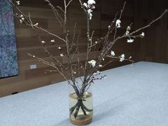-山下C5cafe(惠通时代广场店)