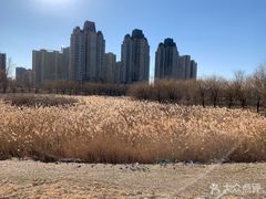 -东坝千亩湖公园