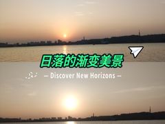 -海鸥岛