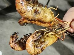 -小象钓虾·营地烧烤(洛溪店)