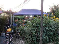 -大眼强五杯鹅·桑拿鸡煲