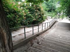 -风车面包