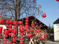 -同里国家湿地公园