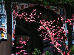 -望江楼公园