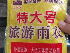 -奥体中心(地铁站)