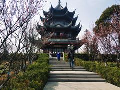 -上海海湾国家森林公园