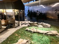 -Seesaw Coffee(朝阳大悦城店)