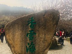 -香雪海