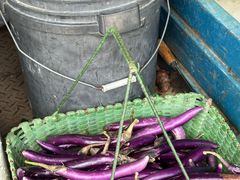 -东天目山风景区