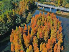 -白鹭湾湿地公园