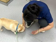 -康成宠物医院24H·CT·核磁共振