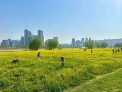 -汉江湾体育公园