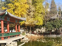 -宣武艺园