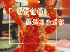 -红盔甲·小龙虾(天钥桥店)