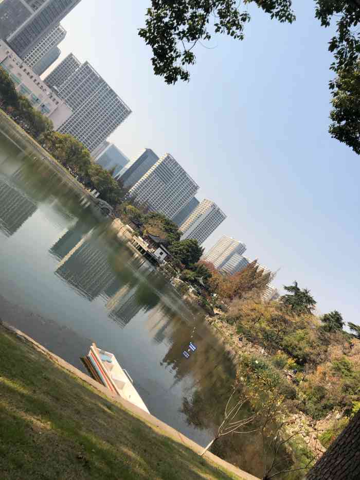 繡球公園-