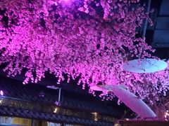 -韵秋荷(宝山龙湖天街店)
