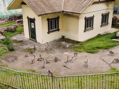 -无锡动物园·太湖欢乐园