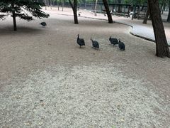 -秦皇岛野生动物园