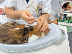 -pd派德宠物中心医院24H急重症·眼科中心·血液透析中心(嵩山北路店)