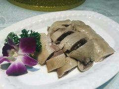 -鹅城