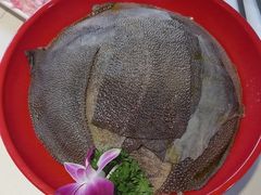 -二荆条·蜀鲜汇城市森林火锅