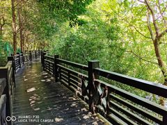 -白马涧龙池景区