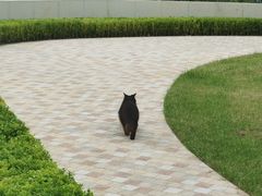 -中興路一號Oriental One