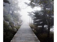 -朱雀国家森林公园