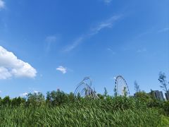 -洋湖国家湿地公园