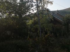 -曲阜尼山书院酒店-西餐厅
