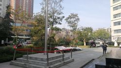 点击看大图 -河南中医药大学第一附属医院-医疗整形