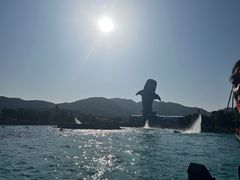 -珠海长隆海洋王国