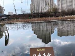-前关湿地公园