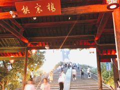 -运河游船(武林门码头)