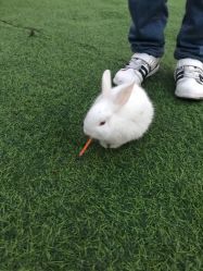 -萌宠亲子动物乐园(槐房万达店)