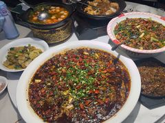 -新概念来凤鱼(璧山店)