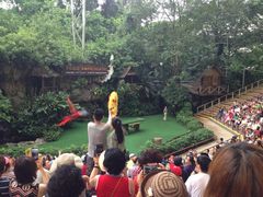 iphone_upload_pic-新加坡飞禽公园