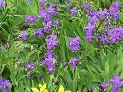 android_upload_pic-南馆公园