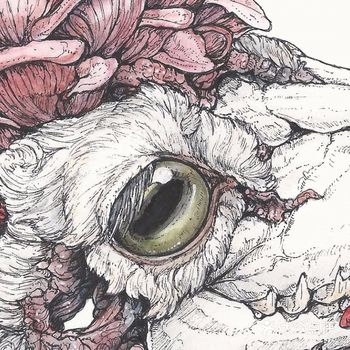 自然之美与残酷 | 野生动物交织在她精心渲染的神话世界中