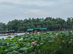 -湖畔居茶楼(湖滨店)