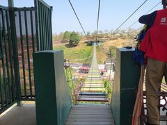 -绵阳盛世樱花悠乐谷