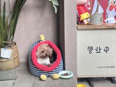 -via coffee(万象城店)