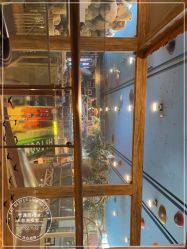 -卡通尼·Safari非洲探索乐园·生日会(金桥国际商业广场店)