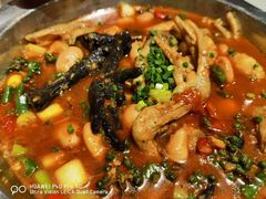 -老号尤兔头(幸福店)