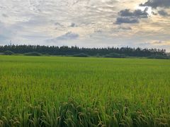 -嘉北郊野公园