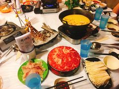 -鲜入围煮花胶鸡海鲜火锅