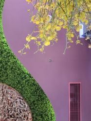 -花隐·美芙炫海菲秀皮肤管理中心